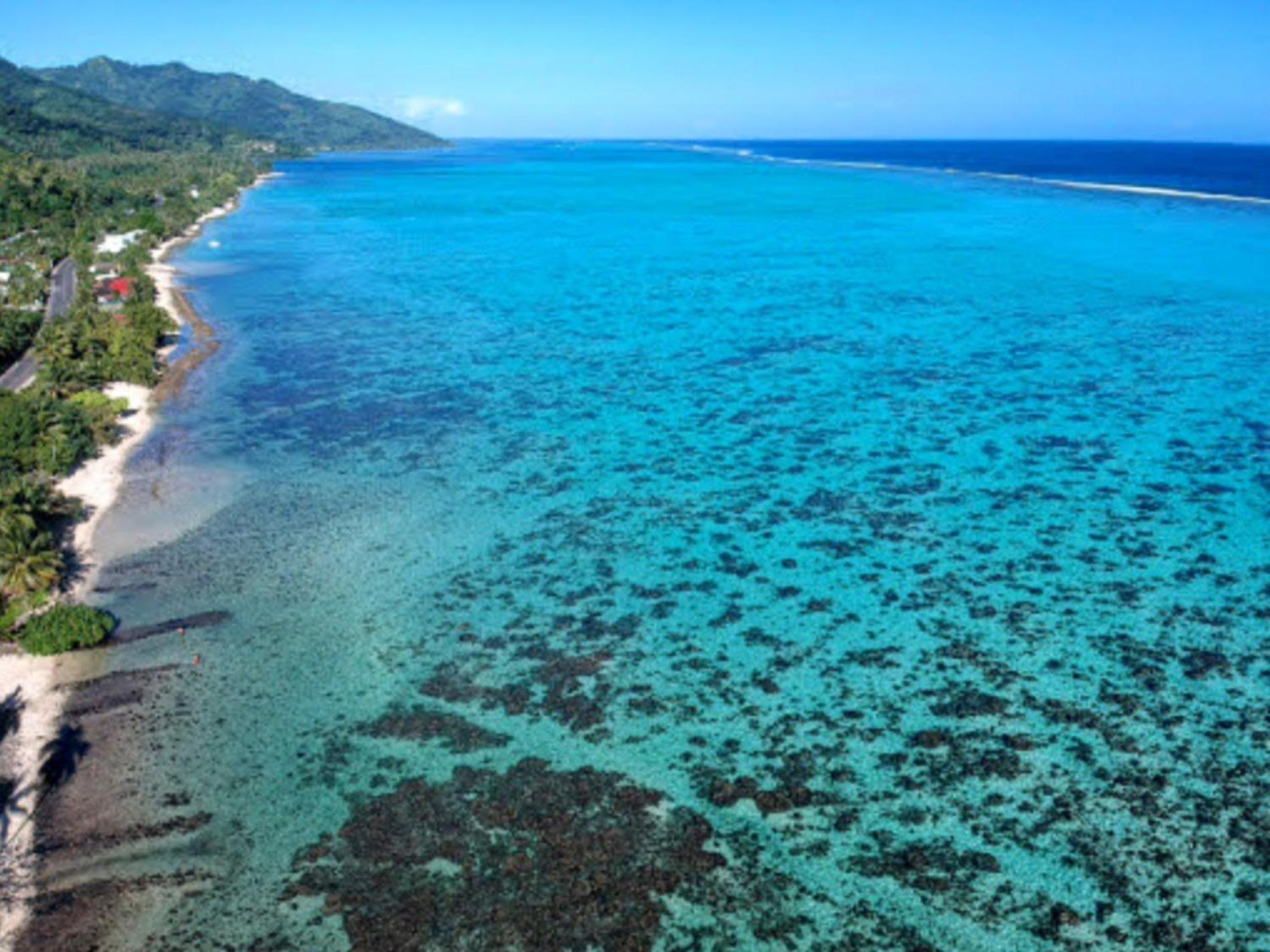 Moorea - Fare Taina Iti Haapiti Екстер'єр фото